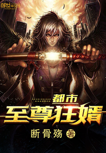 都市至尊狂婿章节列表