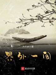 界外一阁章节列表