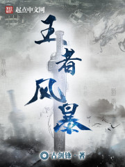王者风暴章节列表