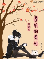 网游之遗失的美好章节列表