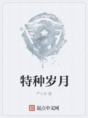特种岁月章节列表
