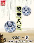 鉴宝人生章节列表