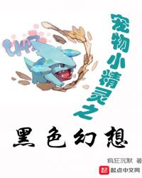 宠物小精灵之黑色幻想章节列表