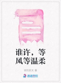 谁许，等风等温柔章节列表