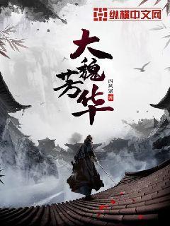 大魏芳华章节列表