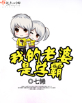 我的老婆是学霸章节列表
