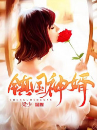 镇国神婿章节列表