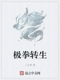 极拳转生章节列表