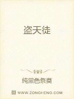 盗天章节列表