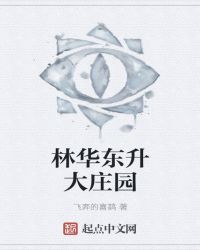 林华东升大庄园章节列表