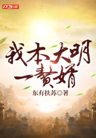 我本大明一赘婿章节列表