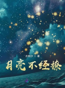 月亮不经撩章节列表