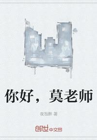 你好，莫老师章节列表