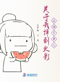 关于我掉到火影这档子事儿章节列表