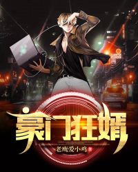 豪门狂婿章节列表