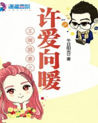 王牌嚣妻之许爱向暖章节列表