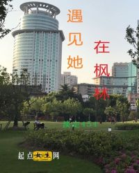 遇见她在枫林章节列表