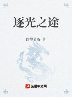逐光之途章节列表
