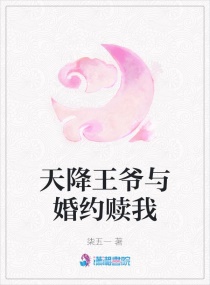 天降王爷与婚约赎我章节列表
