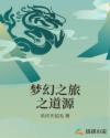 梦幻之旅之道源章节列表