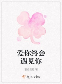 爱你终会遇见你章节列表