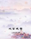 戏言成章章节列表