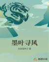 墨叶寻风章节列表