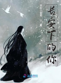 长安下的你章节列表