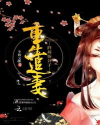 重生追妻的病娇公子章节列表