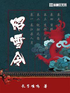 昭雪令章节列表