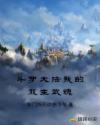斗罗大陆我的双生武魂章节列表
