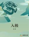 入极章节列表