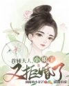 首辅大人，小娘子又拒婚了章节列表