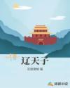 辽天子章节列表