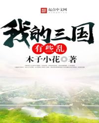 我的三国有些乱章节列表