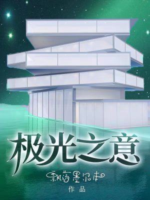 极光之意章节列表