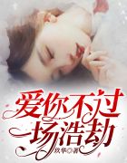 乔笙陆廷渊章节列表