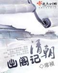 清朝出阁记章节列表