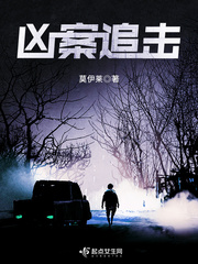 凶案追击章节列表