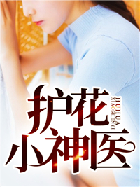 护花使者林平李芸汐章节列表