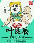 神级叶良辰章节列表