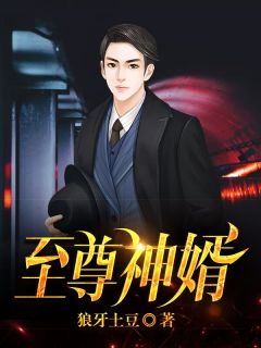 至尊神婿章节列表