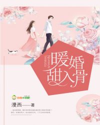 暖婚甜入骨章节列表