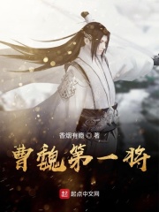 曹魏第一将章节列表