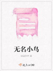 无名小鸟章节列表