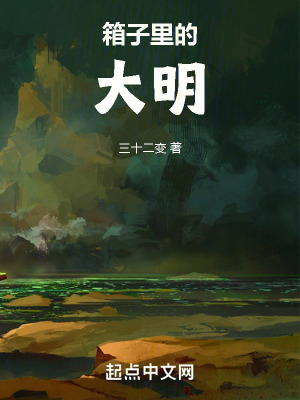 箱子里的大明章节列表