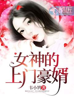 女神的上门豪婿章节列表