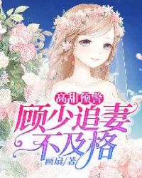 高甜预警：顾少追妻不及格章节列表