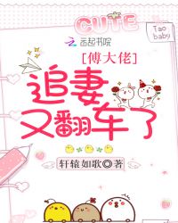 傅大佬追妻又翻车了章节列表