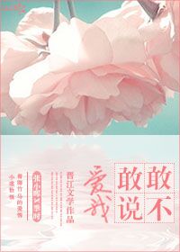 敢不敢说爱我章节列表